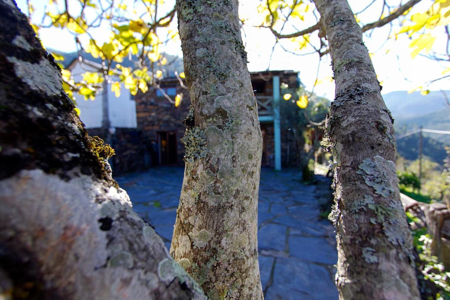 Casa Da Figueira - Rio Paiva Villa Arouca Exteriör bild